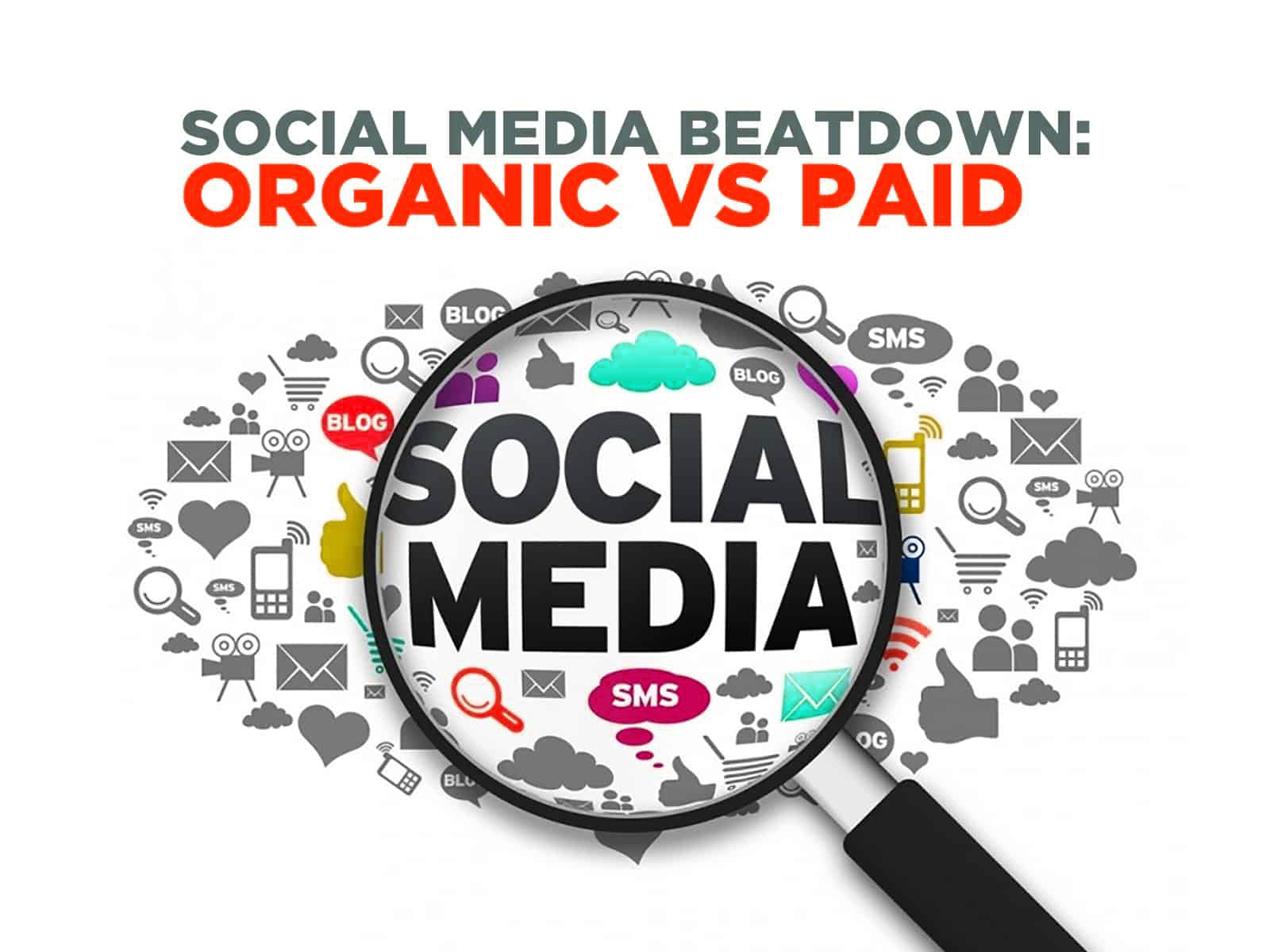 organic-vs-paid